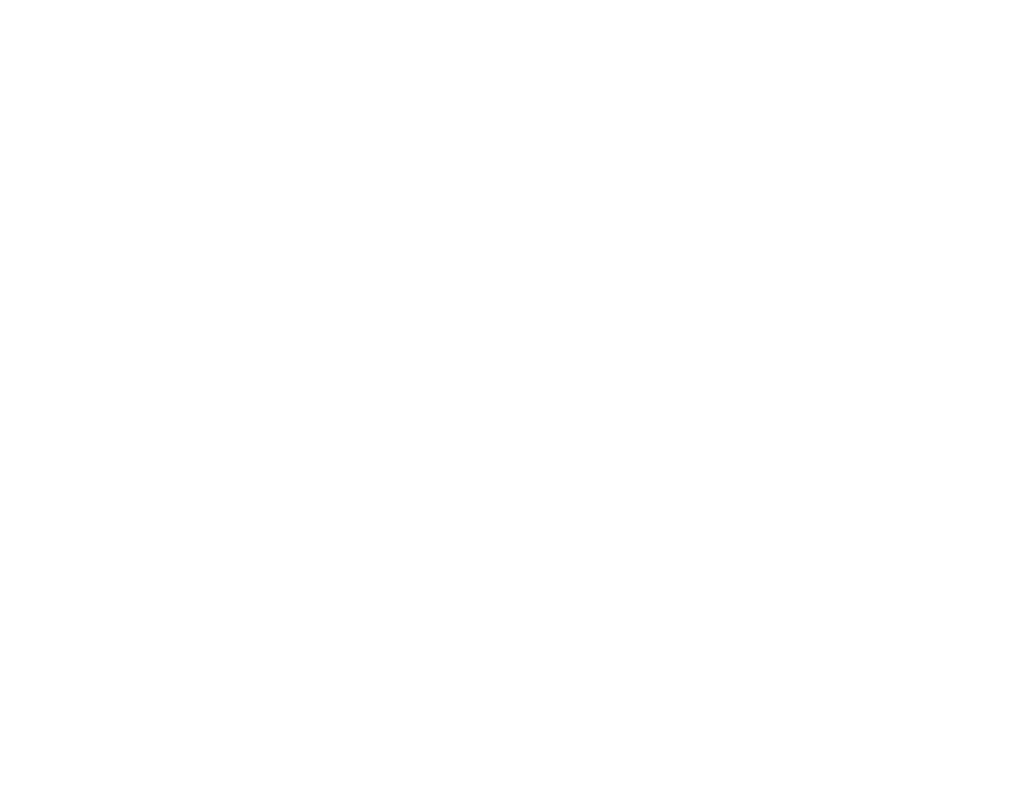 Icon E1